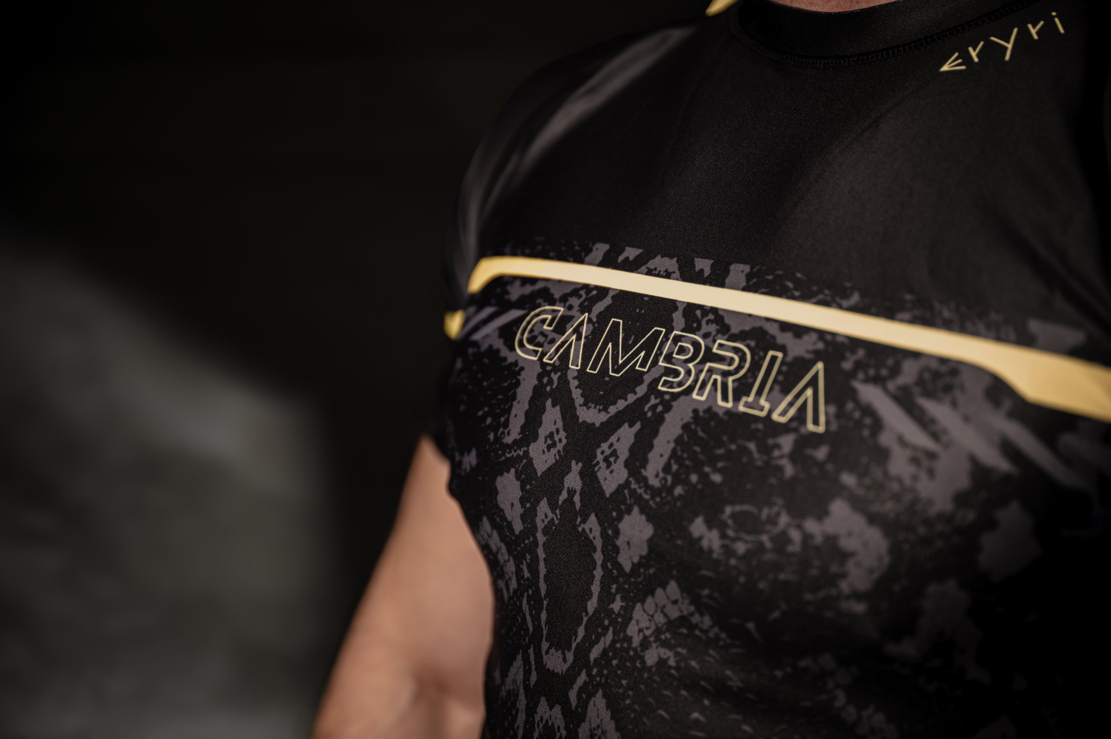 Cambria black and gold Brazilian Jiu-Jitsu rashguard with snakeskin pattern, compression top for no-gi BJJ training and competition